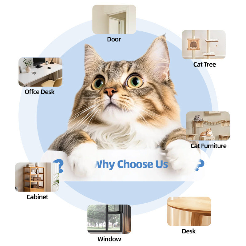 Remote Control Pet Toy – Automatic Retractable Interactive Toy for Dogs & Cats, Fun Exercise & Play