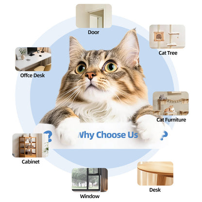 Remote Control Pet Toy – Automatic Retractable Interactive Toy for Dogs & Cats, Fun Exercise & Play